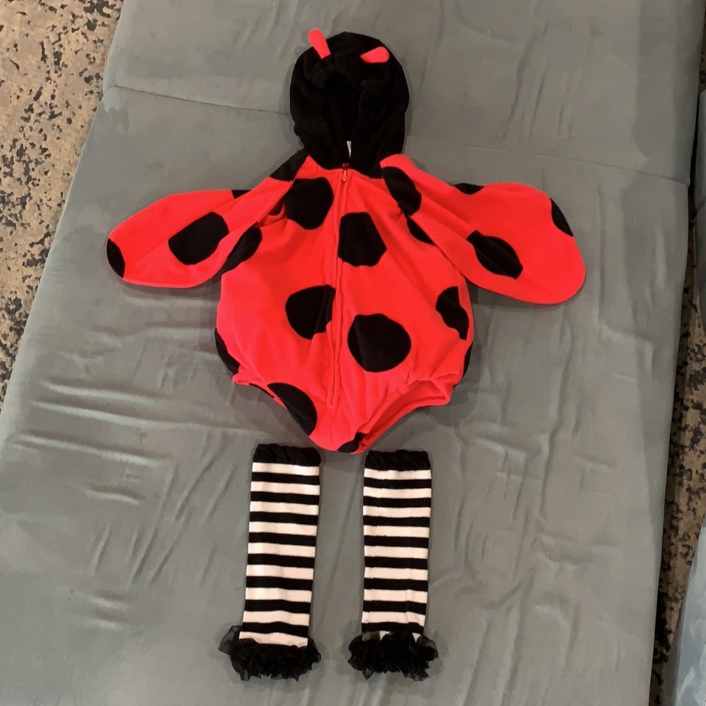Carter’s Ladybug Costume and Etsy Leg Warmers